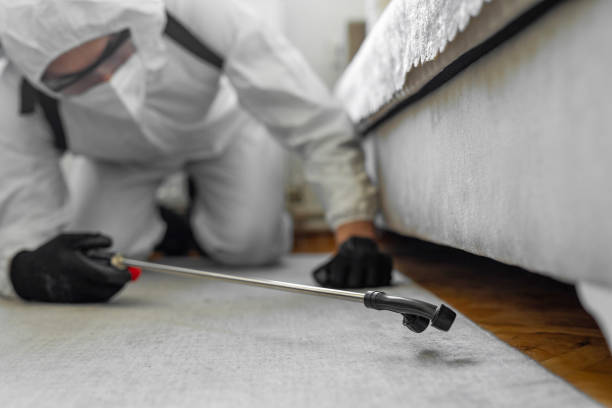Professional Ant Control technician working in Wallingford Center, CT