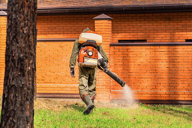 Trusted Ant Control service in Wallingford Center, CT - Nex Pest Control